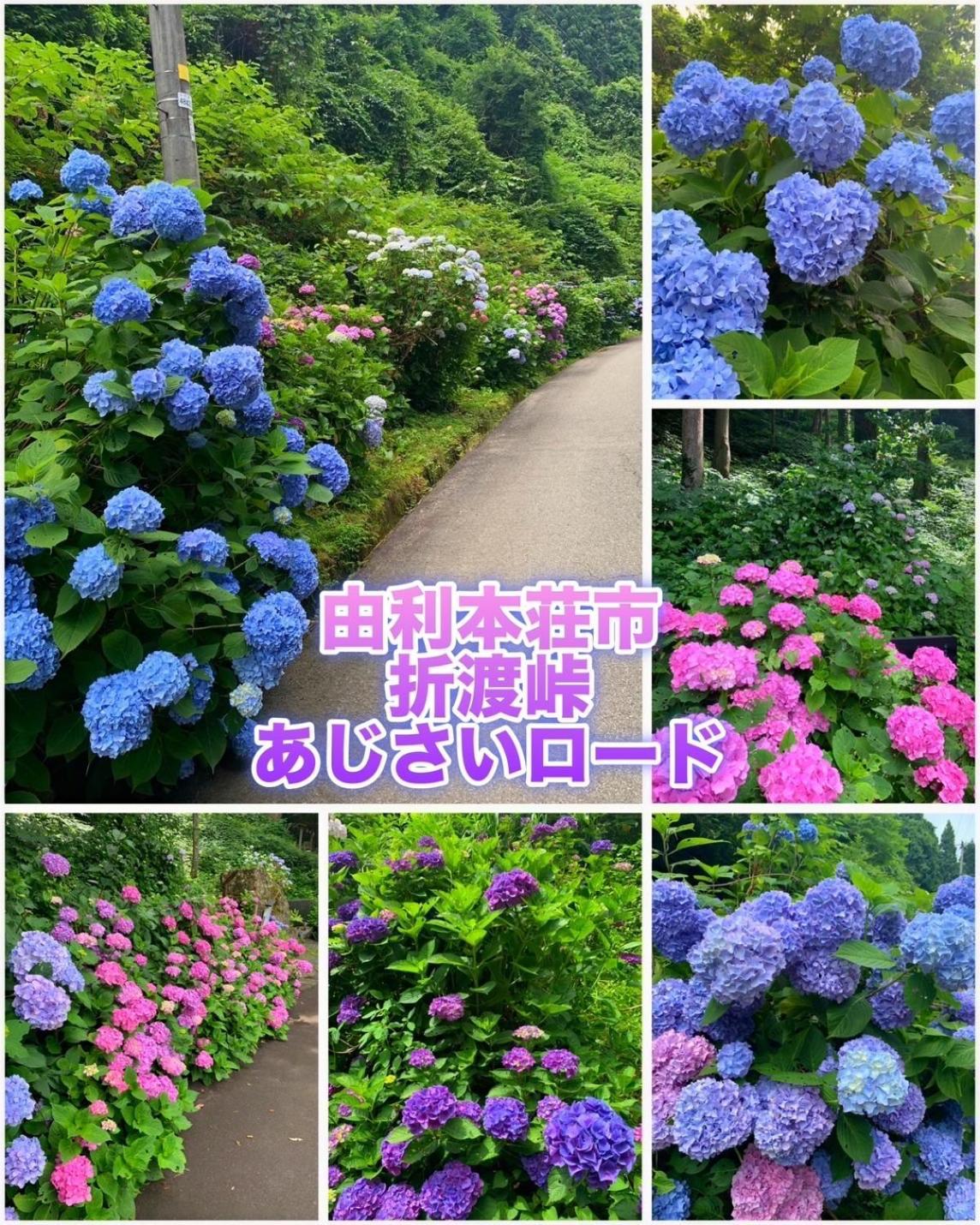 Hotel Dolphia-Adult Only Daisen  Exterior foto