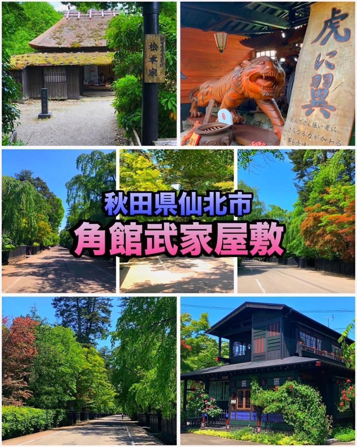 Hotel Dolphia-Adult Only Daisen  Exterior foto